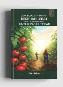 Cara Budidaya Tomat Berbuah Lebat dan Tahan Penyakit untuk Pasar Segar